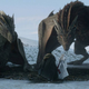 Season eight couldn’t ruin dragons, because nothing can ruin dragons.